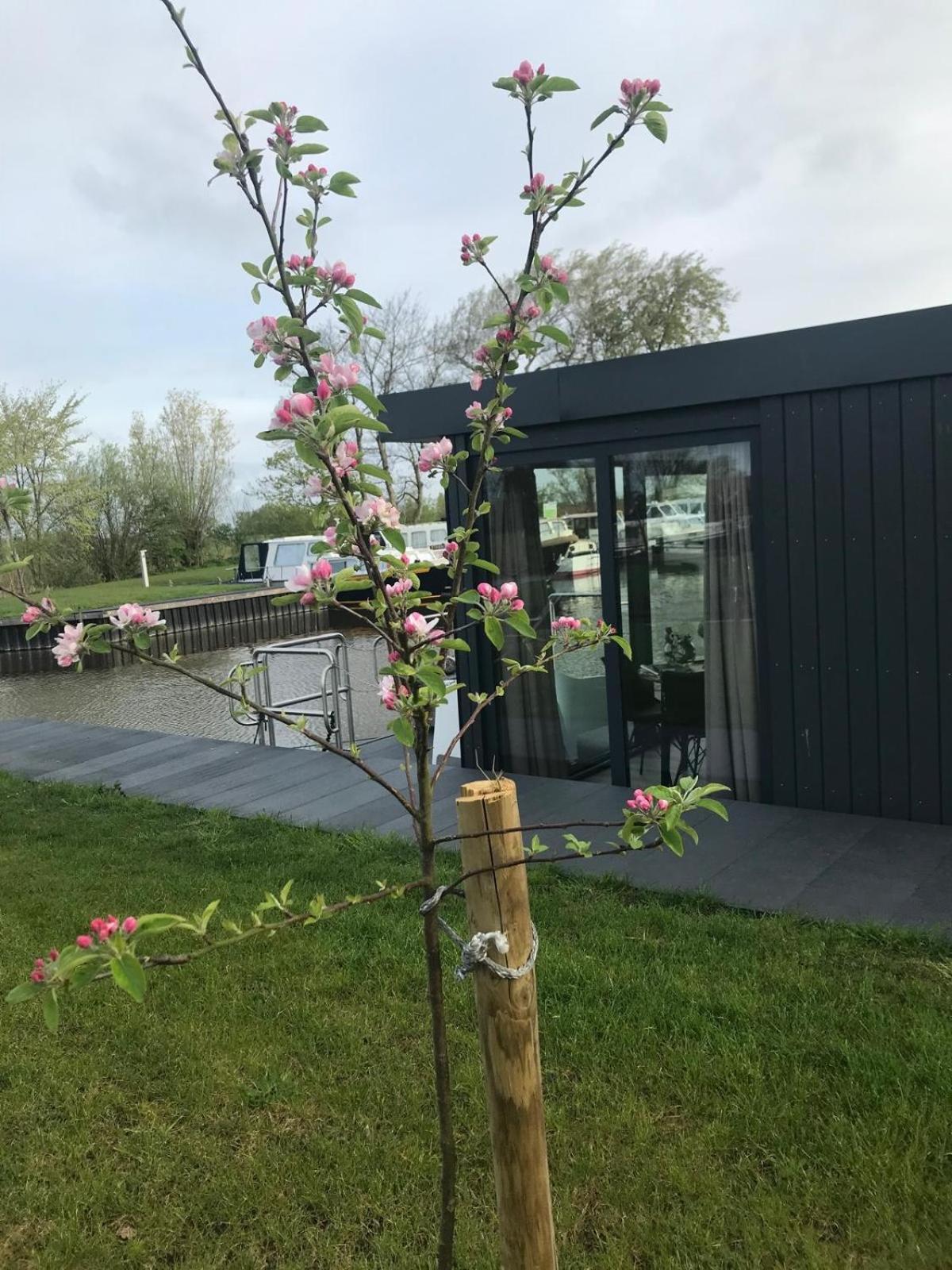 Uniek Overnachten In Een Tiny House Op De Appelhof Wommels Exterior photo